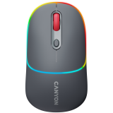 CANYON MW-22, 2 in 1 Wireless optical mouse with 4 buttons_0