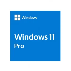 Microsoft Windows 11 Pro Eng 64-bit ESD licence_0