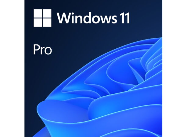 Windows 11 Pro 64bit OEM_1