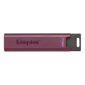 Kingston FD 256GB USB-A DataTraveler _0