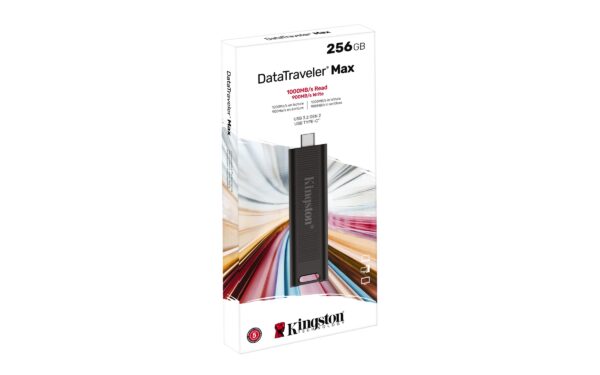 Kingston FD 256GB USB-CDataTraveler MAXR/W:1000/900MBs_0