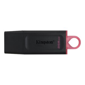 Kingston FD 256GB USB3.2 DTXDataTraveler Exodia_0
