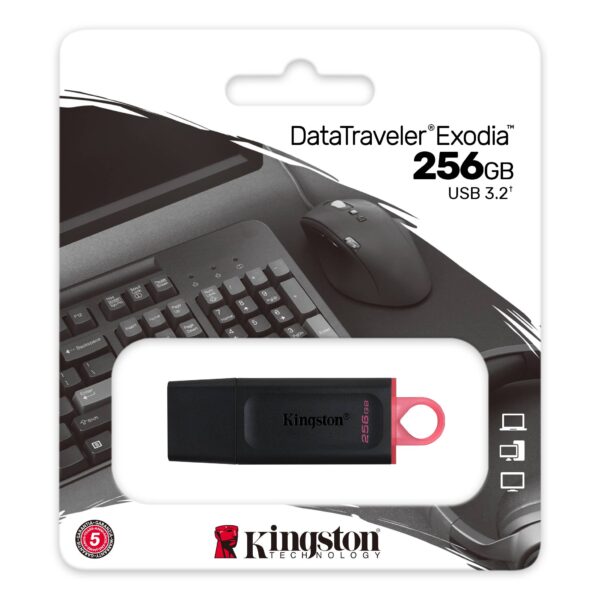 Kingston FD 256GB USB3.2 DTXDataTraveler Exodia_1