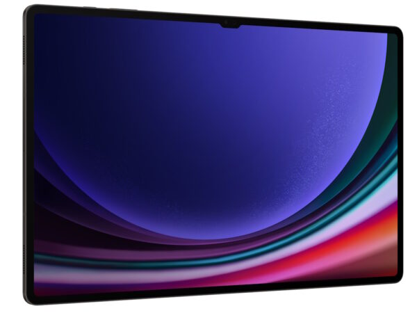 Samsung TAB S9 ULTRA 5G, X916 12/256 GB, LTE Gray_2