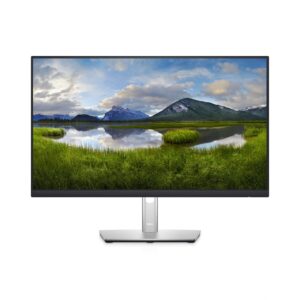 Dell 24 Monitor - P2422H _0