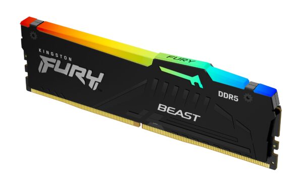 Kingston 16GB 5600MHz DDR5 RGB Fury Beast_0