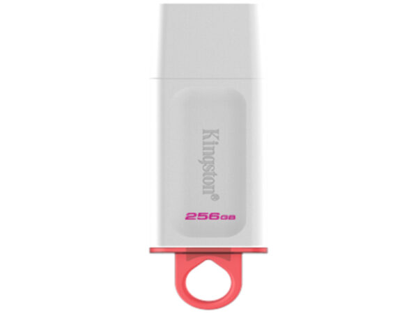 Kingston FD 256GB USB3.2 WhiteDataTraveler Exodia_0