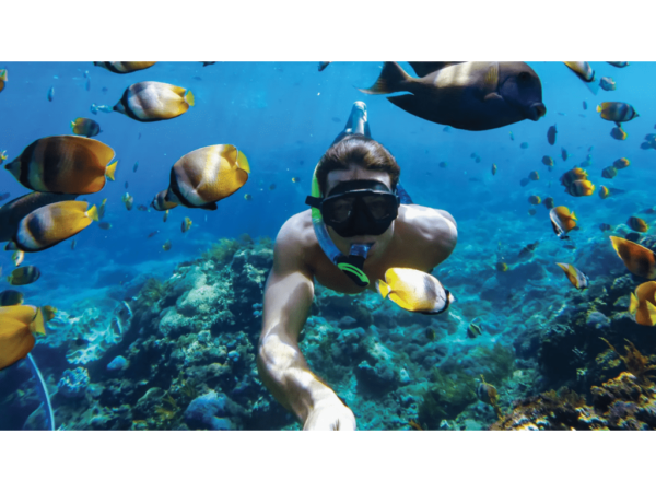 GoPro Protective Housingand Waterproof Case - HERO 9,10,11 i 12_2