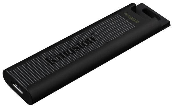 Kingston FD 256GB USB-CDataTraveler MAXR/W:1000/900MBs_1
